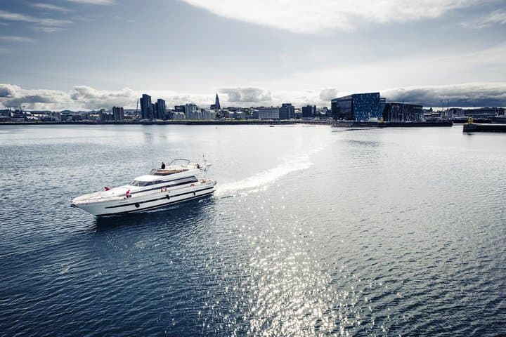 Harbor Cruise with Three Course Dinner from Reykjavik