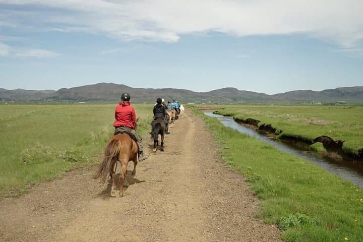 The Siggi Tour from Reykjavík: 1.5 to 2-Hour Ride