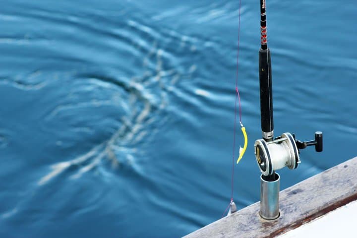 Sunset Fishing Excursion in Faxaflói Bay