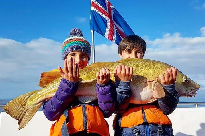 Sunset Fishing Excursion in Faxaflói Bay