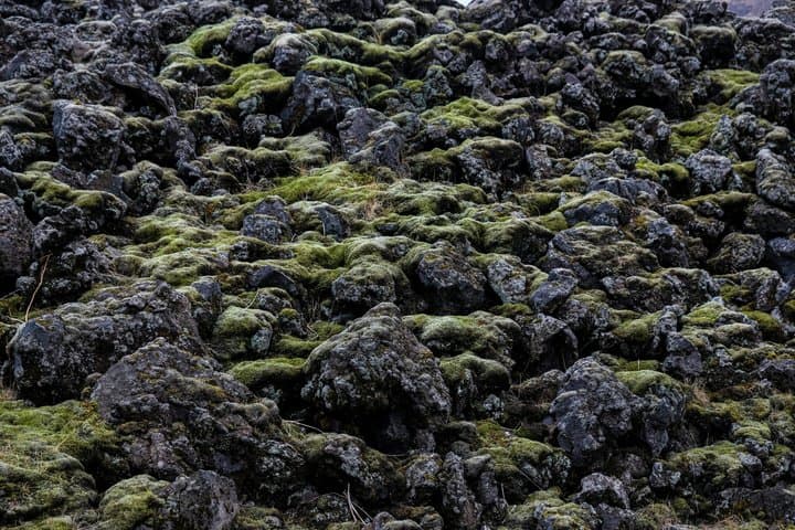 Private Tour to Westman Islands with Extra Waterfall Visit