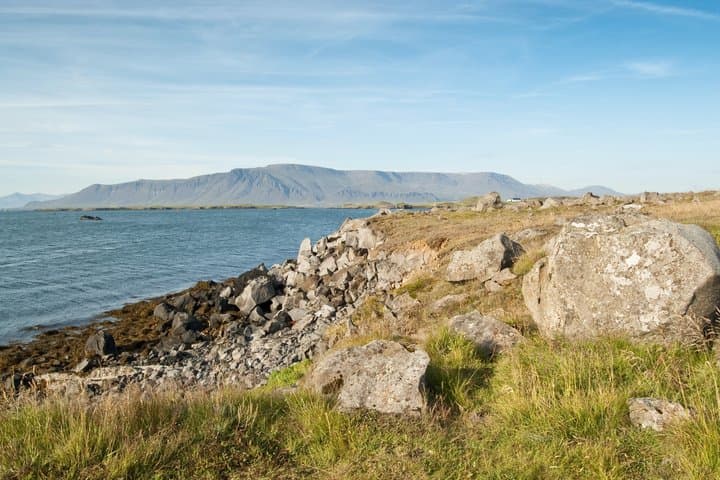 Private Shore Tour: Best Value Whale Watching from Reykjavik