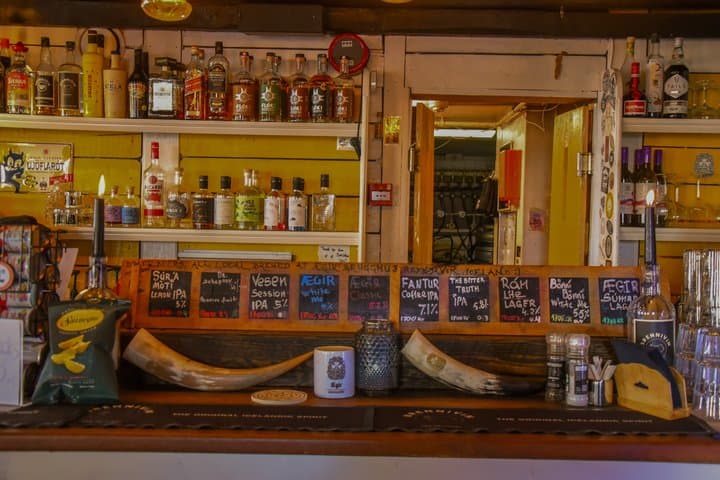 Icelandic Bar Crawl and Karaoke Experience