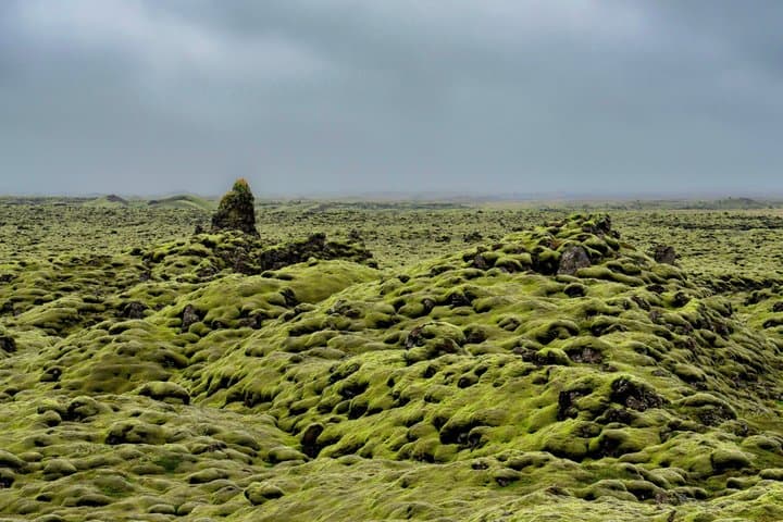 2 Day Summer Tour to Iceland's South Coast with Glacier Hike