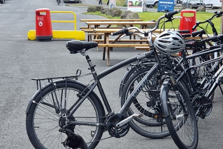 Reykjavik Bike Rental Experience
