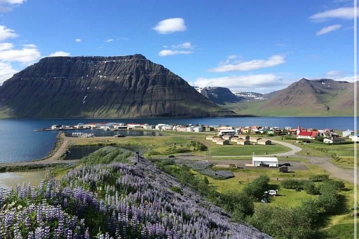 2 Hour Flateyri Village and Fjords Views Afternoon Tour