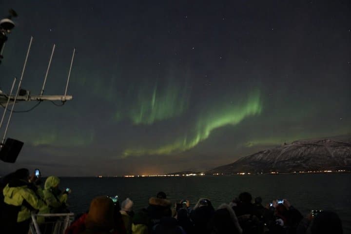 Northern Lights Cruise with Hot Chocolate and Free Retry Included