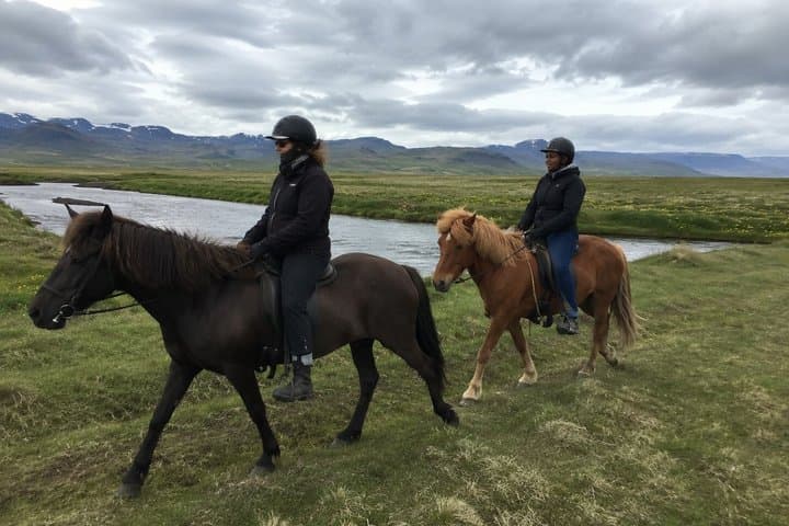 Írafoss Waterfall Horseback Riding Experience in South Iceland